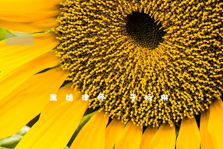 离婚律师 于咏琳